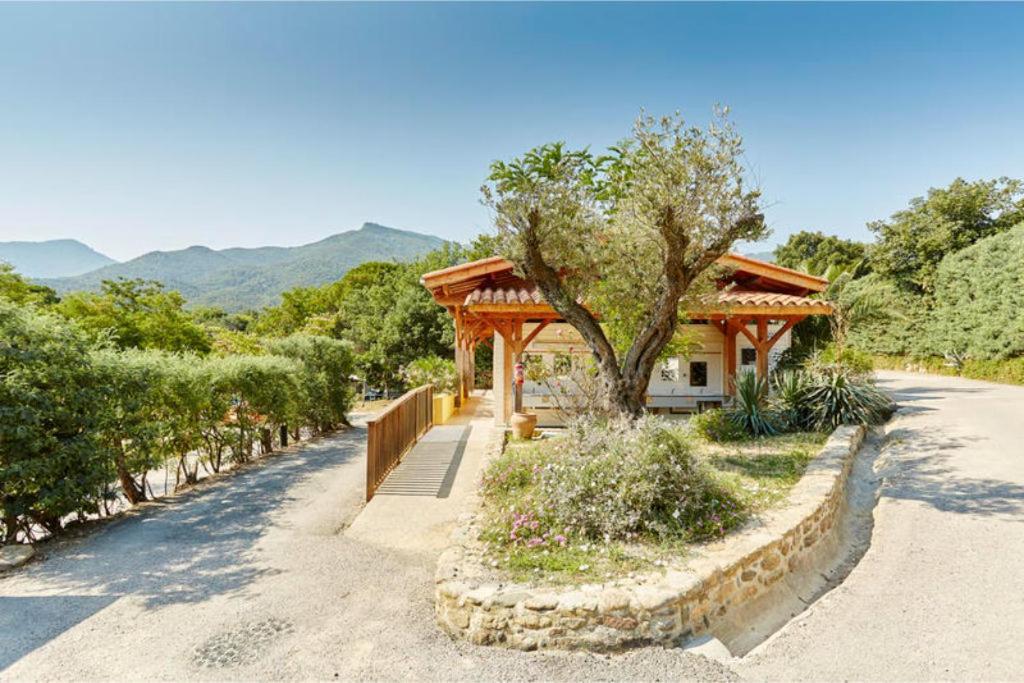 Camping Laroque Des Alberes Oda fotoğraf